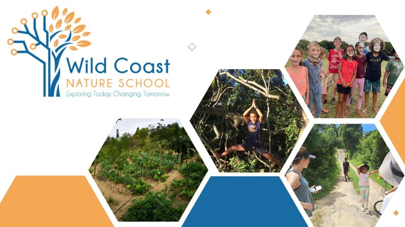 Wild Coast Nature School - Revolutionizing Education and Now Open for Admissions