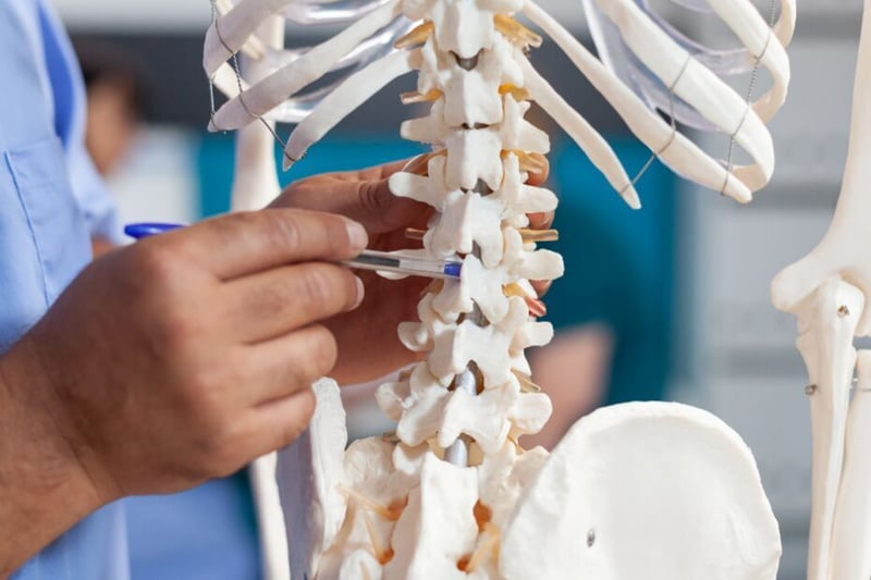 Understanding the Benefits of Chiropractic Care