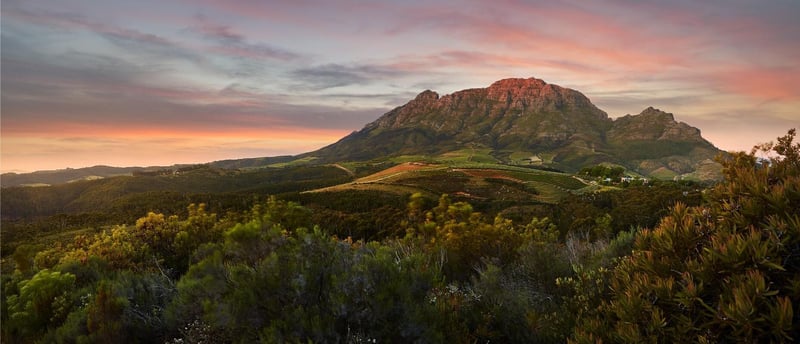 Stellenbosch Wine Farms Thrive On Generations Of Expertise And Certified Heritage Vineyards
