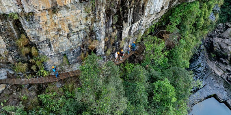 Mpumalanga’s Graskop Gorge Expands With No-Harness Walkway And Scenic Forest Café Addition