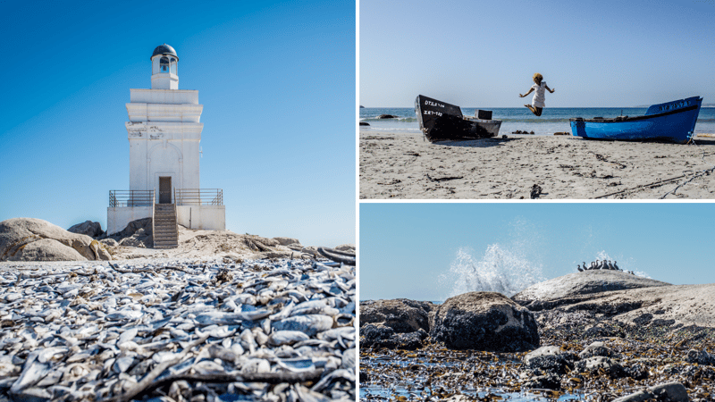 Discover South Africa’s Wild West Coast