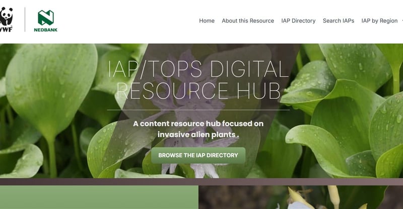 Nedbank and WWF Launch Free Online Tool to Identify Invasive Alien Plant Species in South Africa