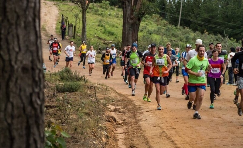 A runner's dream - The Momentum Cape Times Knysna Forest Marathon