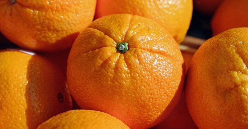 Citrus Exports Surge as South Africa Increases Forecast to Meet Growing Global Market Demand