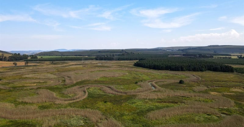 FSA Members Preserve More Than 300000 Hectares Of Natural Ecosystems Across Forestry Land