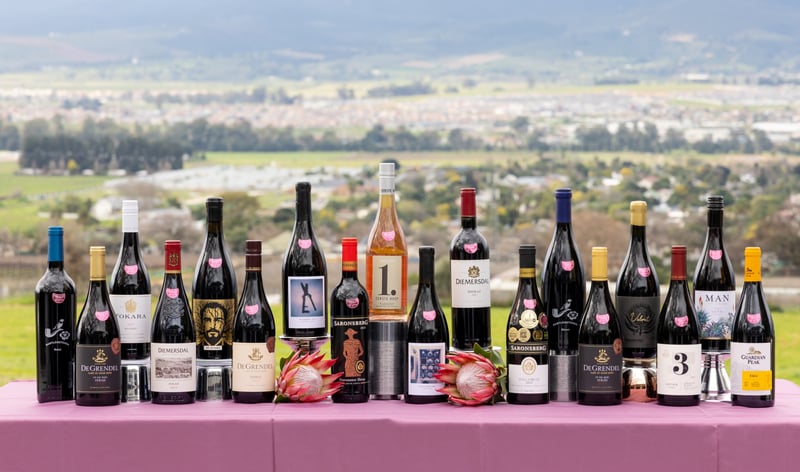 Diverse Styles Shine At The 2025 Shiraz SA Challenge