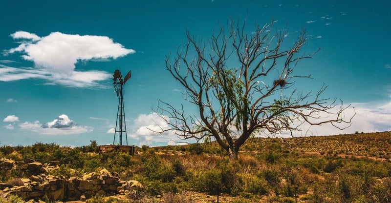 South Africas G20 Presidency Marks Key Progress On Climate Cooperation And Clean Energy For Africa