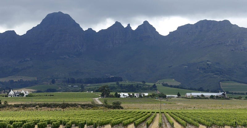 South Africa's white farmers would be among victims if Trump ends growth bill