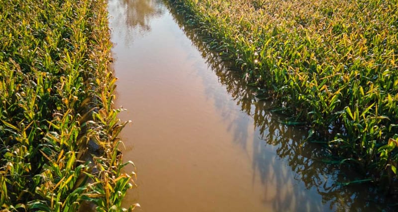 How South African Farmers Can Protect Their Land And Livelihoods By Reducing The Impact Of Flood Damage