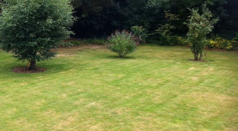 Green Cube Maintenance & Landscaping Shares Flexible Garden Restoration Solutions for Tenant Transitions