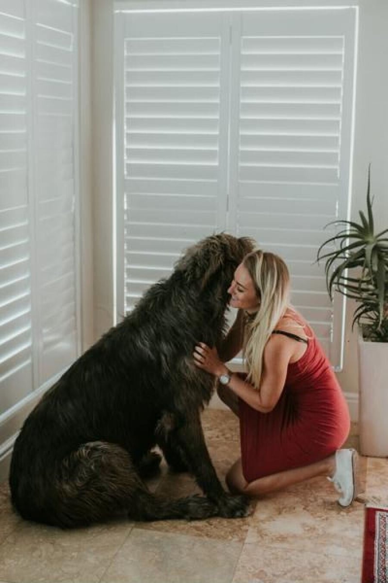 Wolf and Women Celebrates the Bond Between Dogs and Their Humans