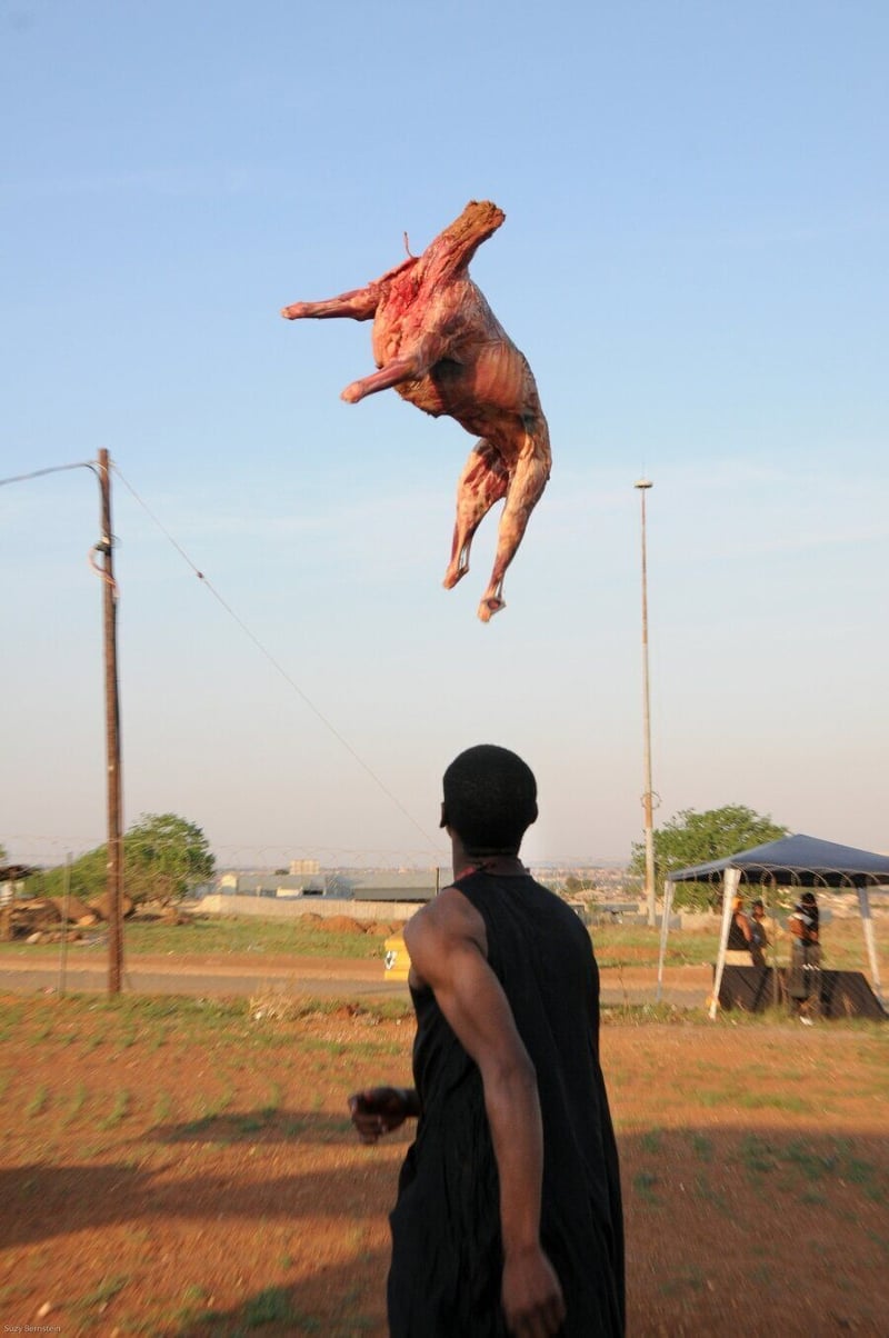 GIPCA LAUNCHES 2ND LIVE ART FESTIVAL