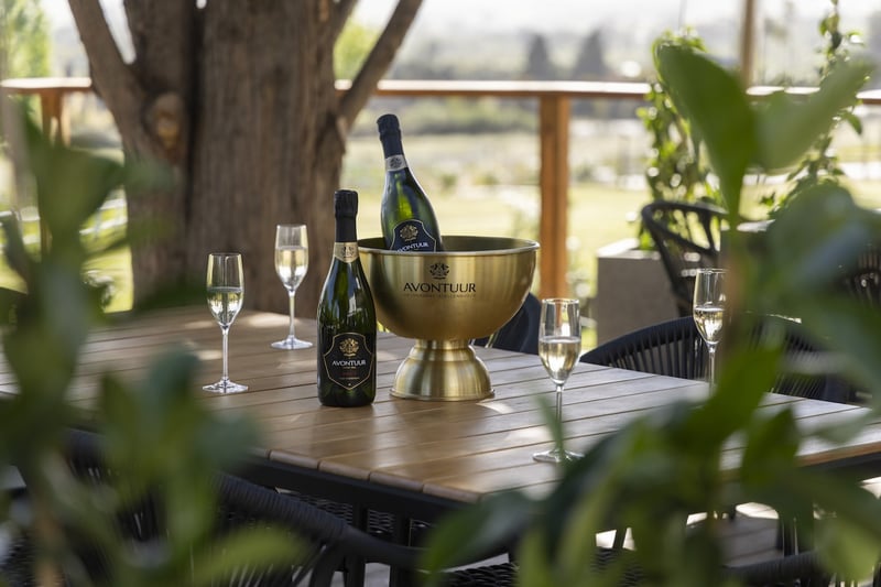 Stellenbosch Wine Route Gets a Fresh Spot at Avontuur Estate