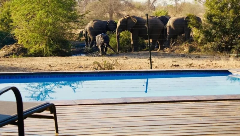 Africana Travel Launches Comprehensive Accommodation Booking Platform for Hoedspruit Travelers