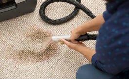 South Africa Carpet Cleaners Unveil New Advanced Stain Removal Options for Homes and Businesses