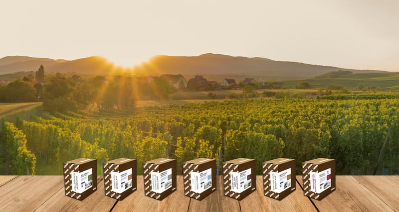 Vinimark Introduces Curated Wine Smart Mixed Cases To Make Premium Wines Accessible And Engaging