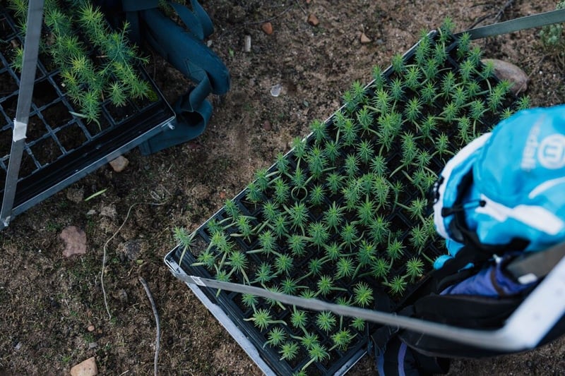 Help Sustainable Ceder Secure Vital Funding by Voting in the European Outdoor Conservation Association (EOCA) Initiative