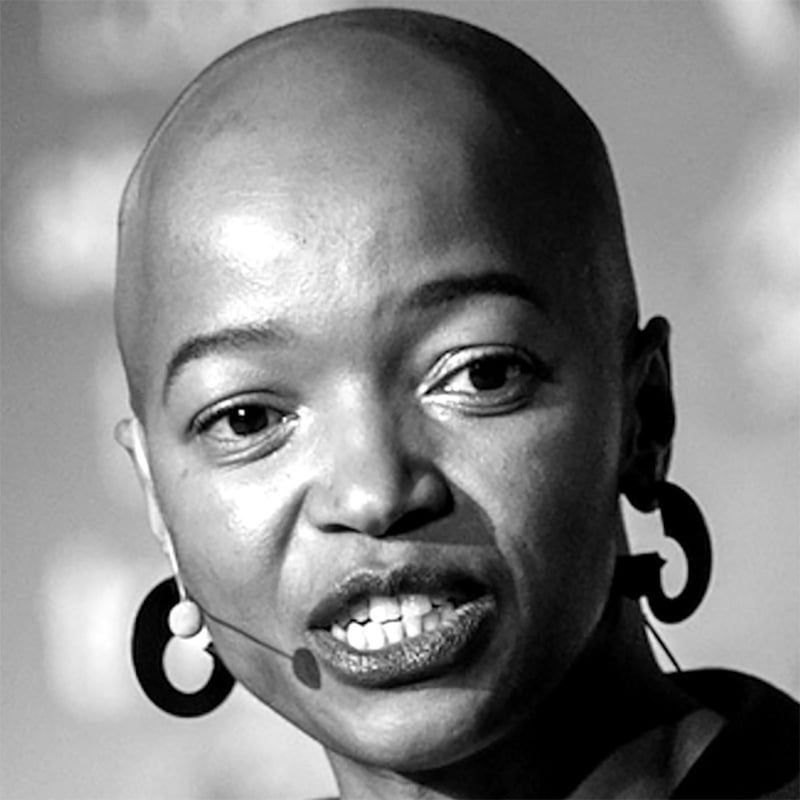 Indlulamithi Barometer Warns South Africa’s 2035 Futures — Weaver Work Gains Ground but Hadeda Home and Vulture Culture Persist