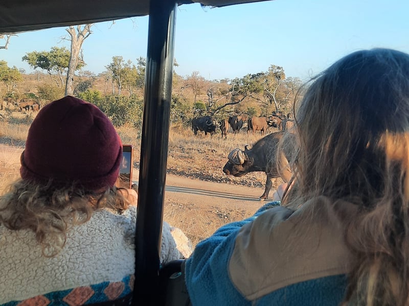 Stones Safaris Elevates Bush Travel With Unique Family Friendly Adventures In Greater Kruger Park