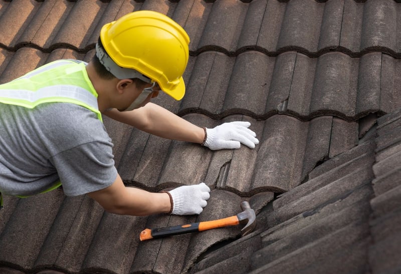 TT Waterproofing Releases Comprehensive Guides on Dampproofing and Tile Roof Restoration for Gauteng Property Owners