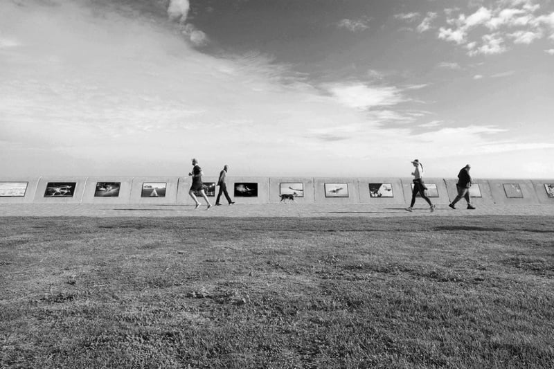 Orms x Canon - Chasing Contrast. The Sea Point Promenade Photographic Exhibition Competition is back!