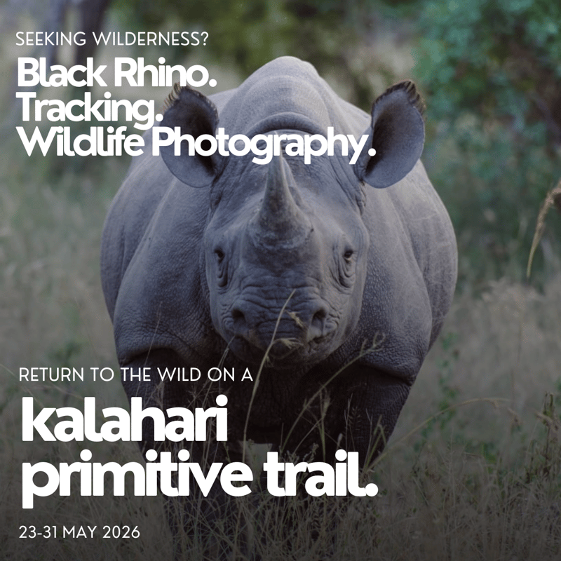 Final Availability Confirmed for Tchagra Trail Wilderness Consulting’s Kalahari Primitive Tracking Trail