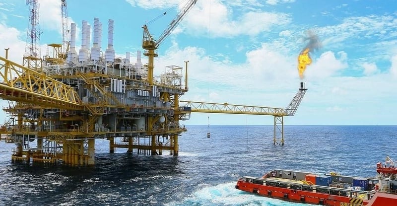 Western Cape Court Halts TotalEnergies Project For Failing To Meet Environmental And Climate Laws