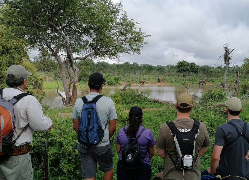 Stones Safaris Launches Guided Walking Safaris in Hoedspruit