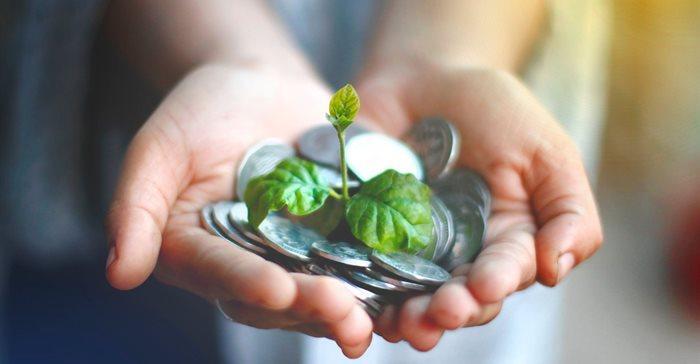 InvestFest highlights R1.8bn mobilised for South African SMEs as IFN expands funding network
