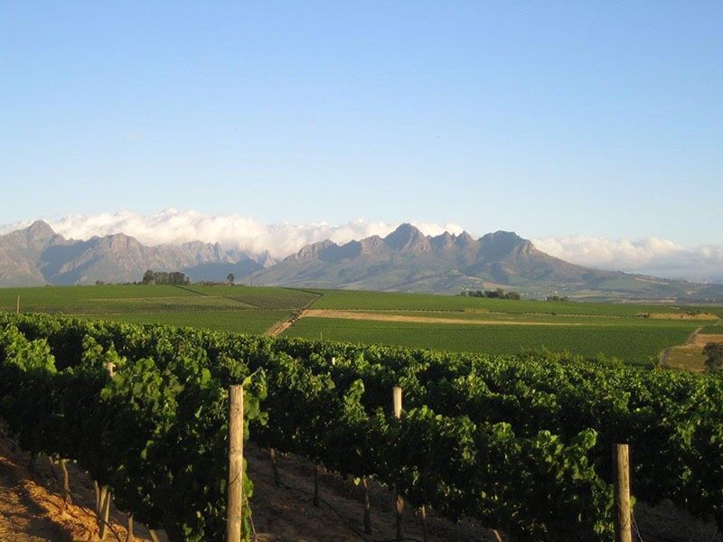 Ònoma Private Cellar blazing a trail in the wine industry