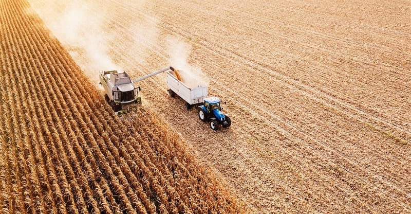 Strong Grain And Produce Supplies Push South Africa Food Inflation Down To 2.8 Per Cent