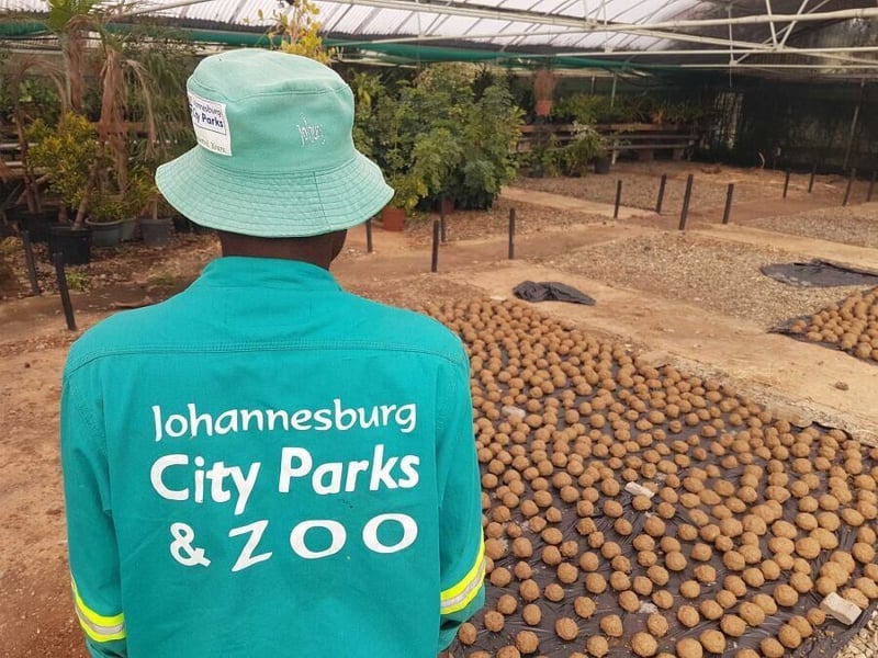 The Hollard JURA & JUMA will be Good, Clean Fun, Thanks to Johannesburg City Parks & Zoo.