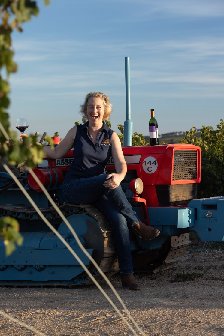 Backsberg Family Wines or Harvest Report 2026