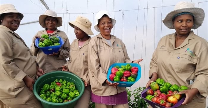 Inmed South Africa Transforms Lives Through Social Employment And Community Empowerment