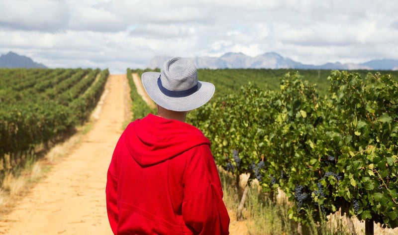 Dear Farmers - Maximising Your Budget