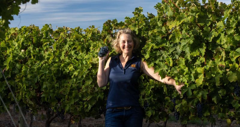 Backsberg Wines Adapts To Early Harvest While Maintaining Focus On Quality And Vineyard Integrity