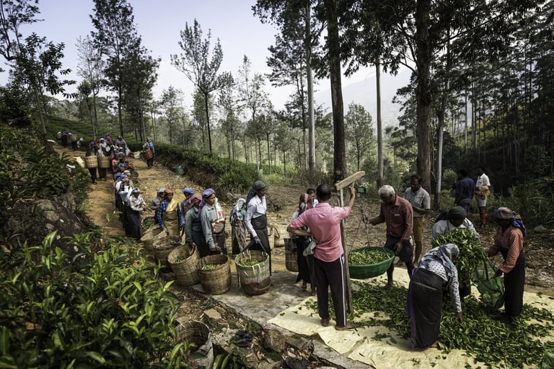 World’s greatest food photography awards are open for entries!