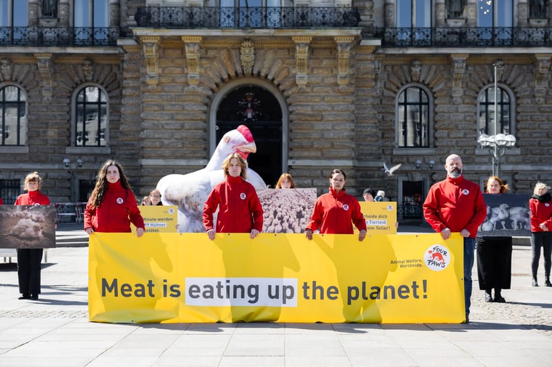 Global Meat Consumption Hits 'Meat Exhaustion Day' as Intake Doubles EAT‑Lancet Recommendation