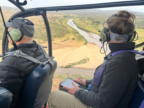 The Bateleurs Back Wildlife ACT Vulture Survey Confirming First Hooded Nest In KwaZulu-Natal
