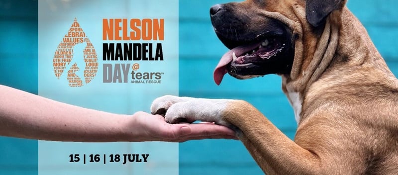 TEARS Animal Rescue appeals to Capetonians to support vulnerable pets this Mandela Day