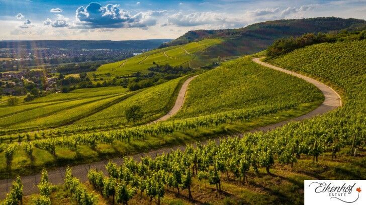 Unveiling the Perfect Wedding Venue - Stellenbosch Edition