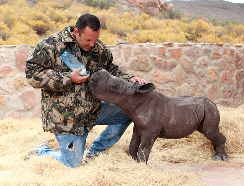 SA's Most Recent Rhino Poaching Incident