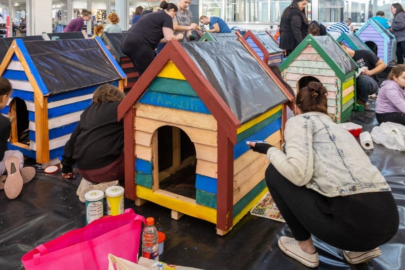 Grab a paintbrush - CapeGate’s Dogbox Project needs you this Mandela Day