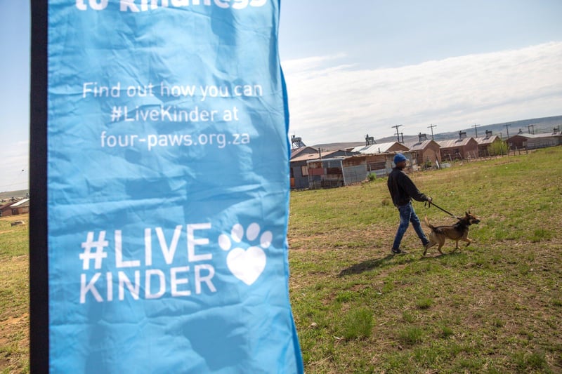 FOUR PAWS Calls for One Health Collaboration to End Rabies in South Africa