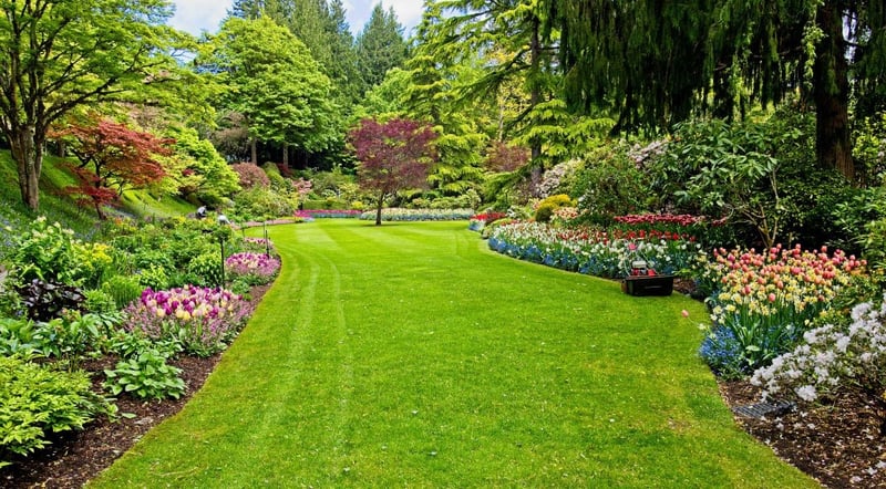 Green Cube Maintenance & Landscaping Helps Pretoria Homeowners Reclaim Their Weekends with Professional Garden Care