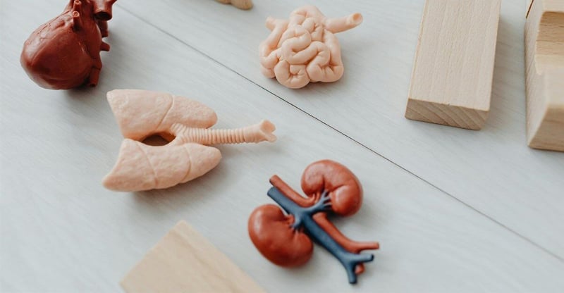 Why Diabetes Management Is Critical This World Kidney Day