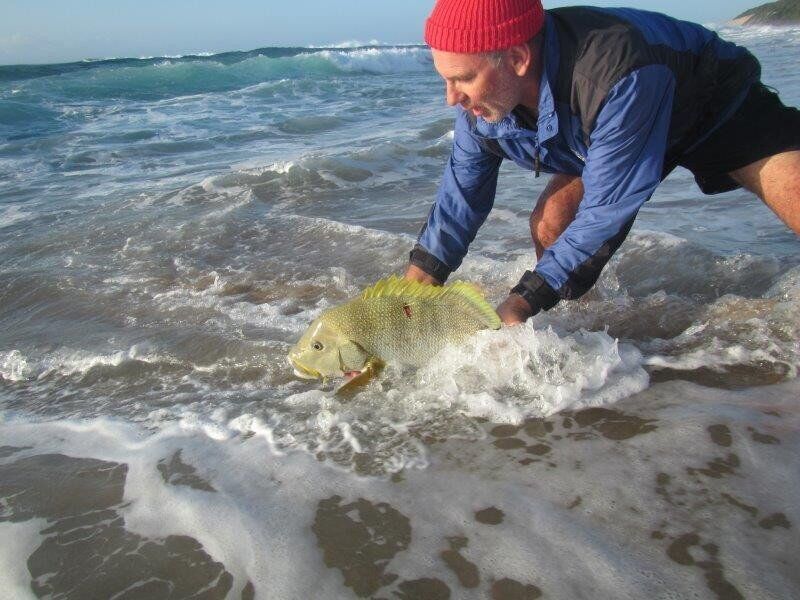 Tagged Fish Research Shows How Our Marine Protected Areas (MPAs) are Saving the Species