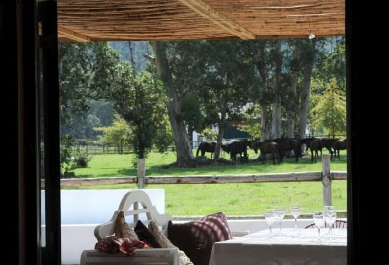 Katarina’s @ Kurland Hotel Re-Opens