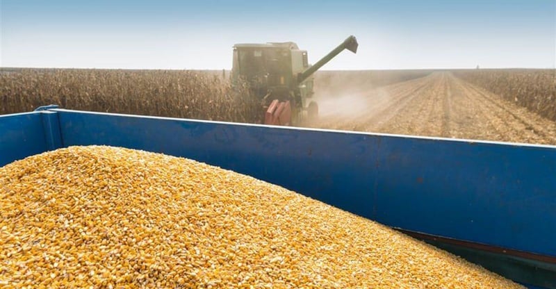 Food Inflation Slows To 15.5 Year Low Driven By Bumper Harvests And Global Supply