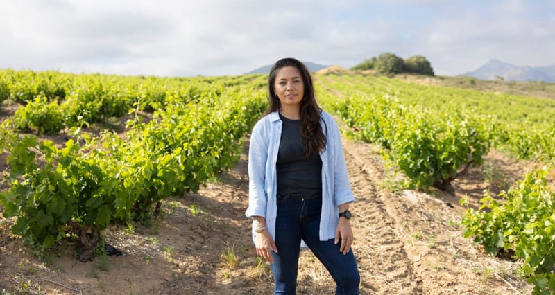 Vulpes Wines Founder Nuschka De Vos Shares Story Of Passion Purpose And Sustainable Winemaking